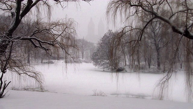 暴风雪期间中央公园的湖视频素材