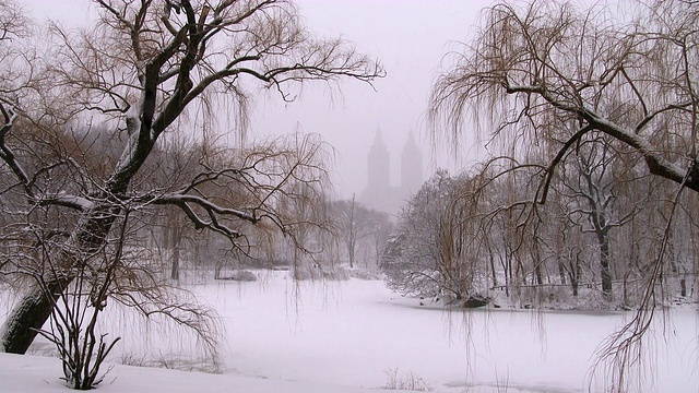 暴风雪期间中央公园的湖视频素材