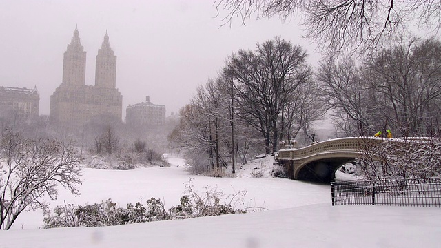 在一场暴风雪中俯瞰中央公园的湖视频素材