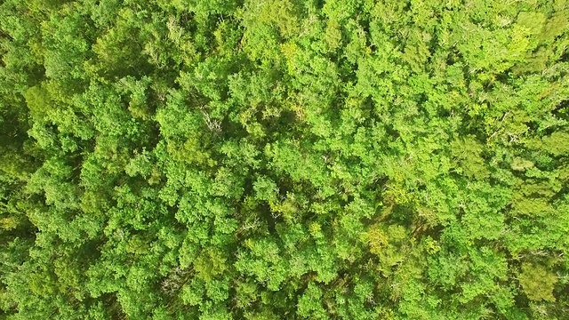 空中密西西比农村视频素材