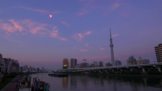 Sumida烟花和东京天空树视频素材