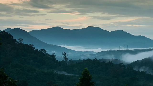 时间流逝:森林hala-bala narathiwas(雨林)视频素材