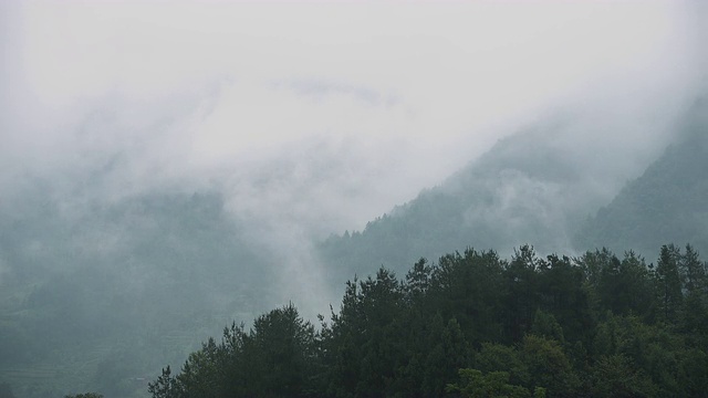 薄雾在郁郁葱葱的山谷中翻腾视频素材