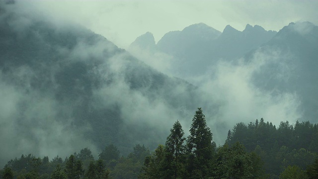 薄雾在郁郁葱葱的山谷中翻腾视频素材