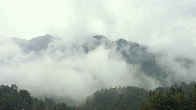 雨后山上有雾视频素材