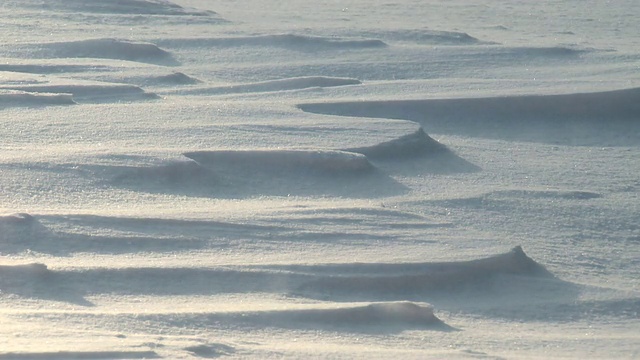 MS Shot of Snow blowing across surface /马多克，安大略省，加拿大视频素材