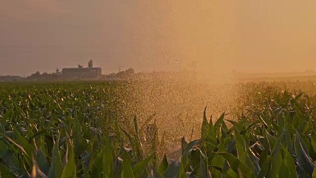 SLO MO从农业洒水器上滴下的水滴视频素材