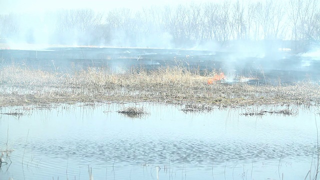 燃烧的草地和湿地区域有破坏的感觉视频下载