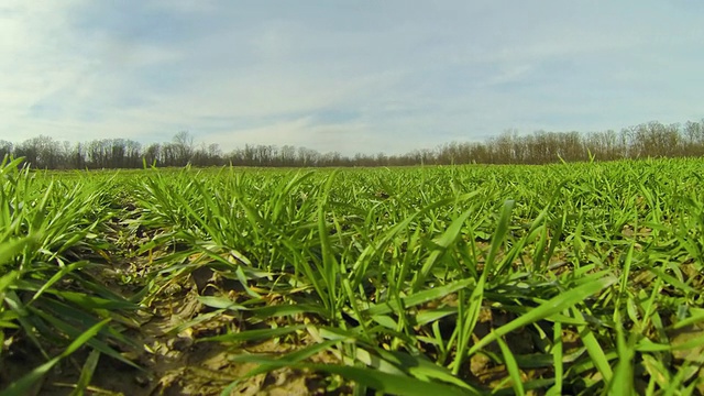 HD Motion Time-Lapse: Cloudscape Over A Meadow:云景牧场视频素材