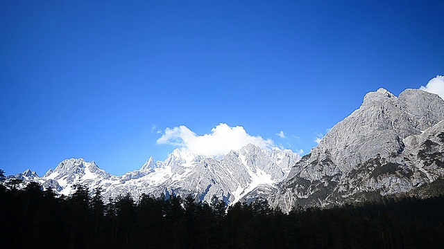 雪山景观和松树林视频素材