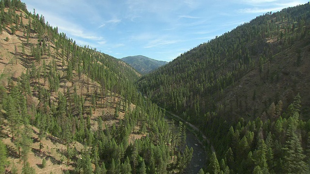 MS AERIAL Valley和Frank Church River of No Return Wilderness / McCall，爱达荷州，美国视频素材