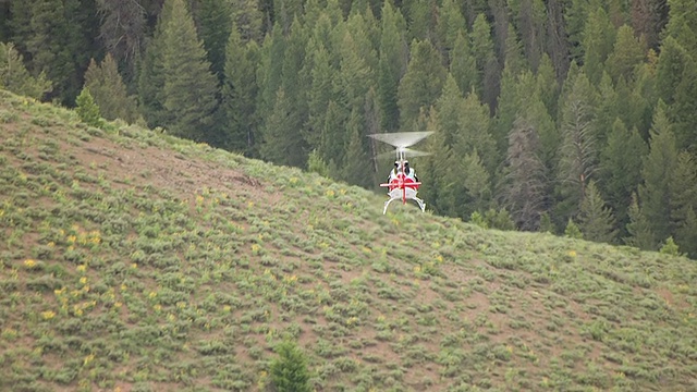 MS AERIAL TS直升机飞过太阳谷地区森林/爱达荷州，美国视频素材