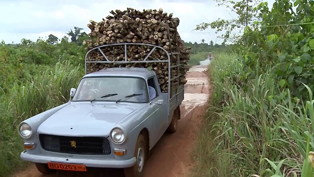 Benin_Afrika_Jeep_countryroad木材运输视频下载