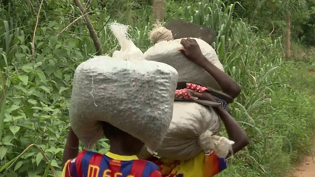 benin_afrika_小村庄学校的孩子写作视频下载