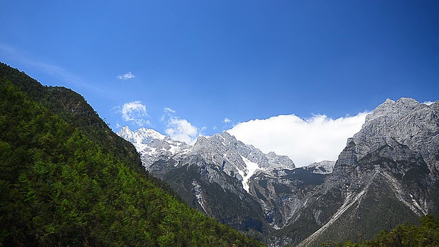 雪山景观和松树林视频素材