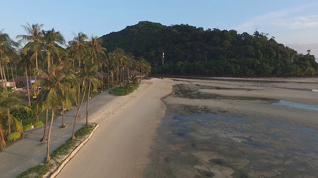 在沙滩上飞翔，棕榈树和村屋向着太阳和大海视频下载