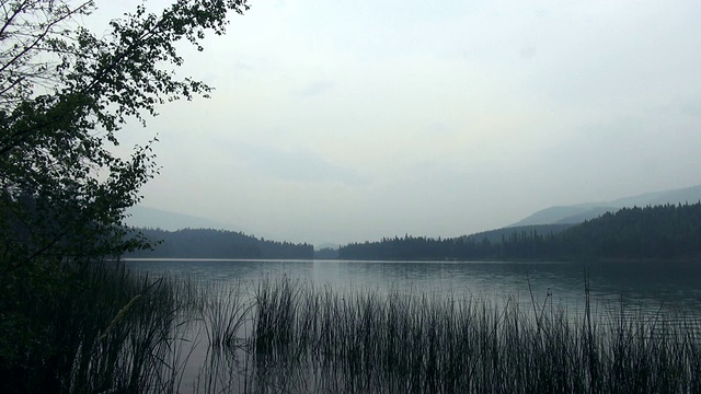 平静的山湖与芦苇在前景和朦胧的山在背景。视频素材