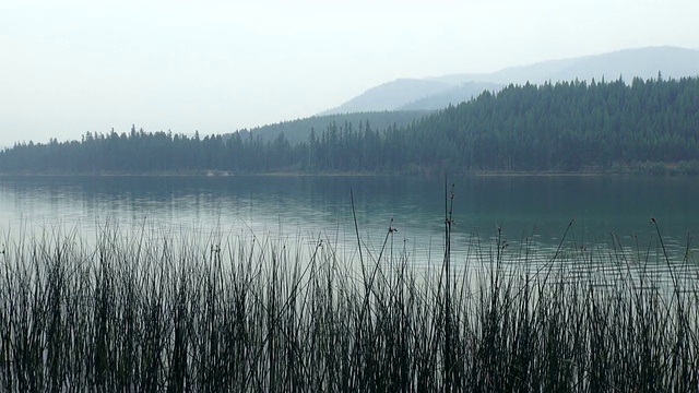 平静的山湖与芦苇在前景和朦胧的山在背景。视频素材