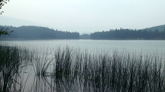 平静的山湖与芦苇在前景和朦胧的山在背景。视频素材