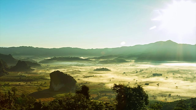 山上有树和雾视频素材