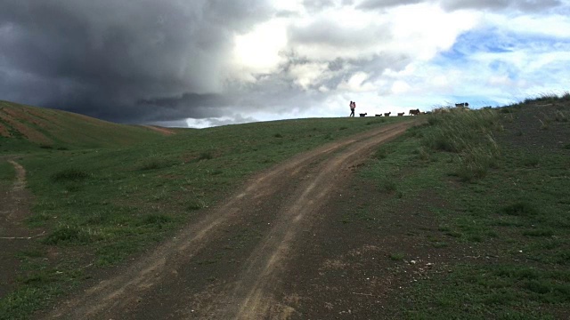 蒙古戈壁沙漠中一群绵羊和山羊，天气恶劣视频素材