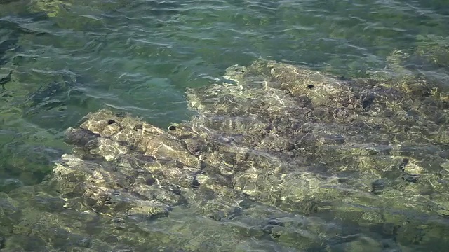 希腊海洋视频下载