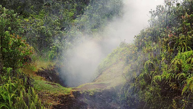 蒸汽从火山口在夏威夷火山国家公园视频素材