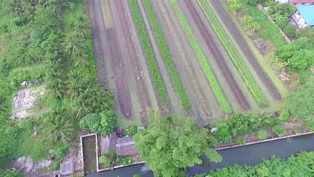 空中射击:菜园视频素材