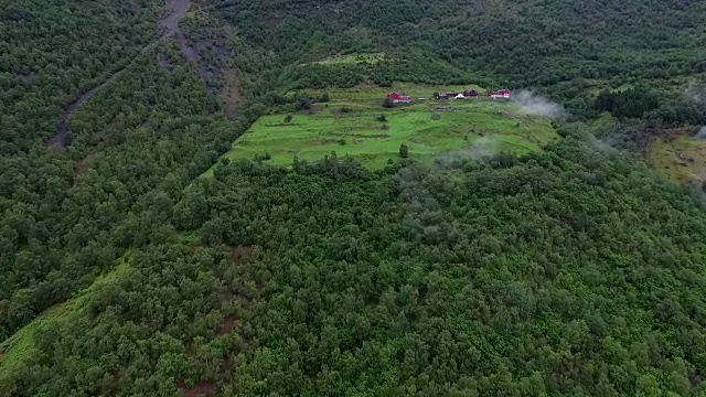 在山坡上有树和红房子视频下载