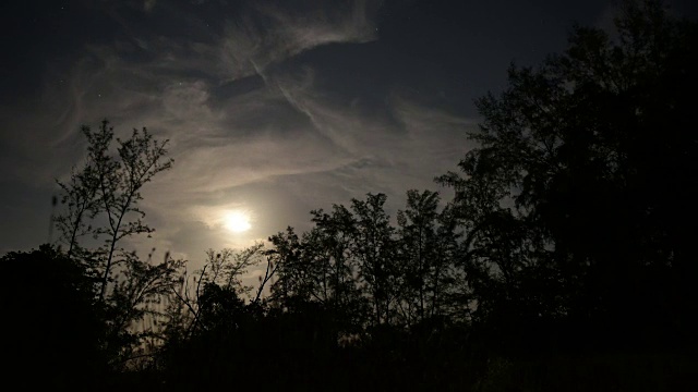 神秘森林的剪影映衬着夜晚戏剧性的天空视频素材