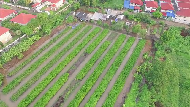 空中射击:菜园视频素材