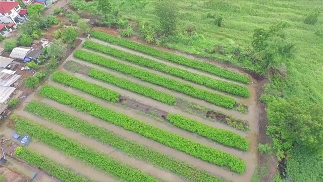 空中射击:菜园视频素材