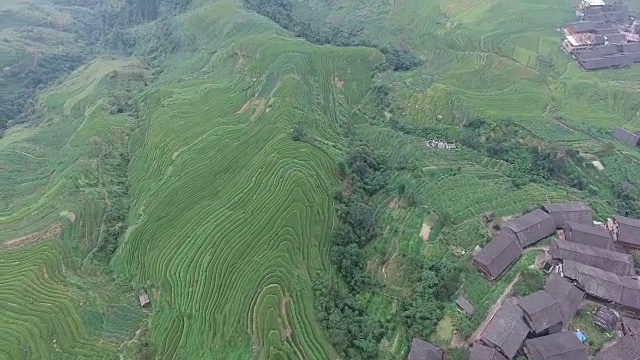 龙胜的稻田视频素材