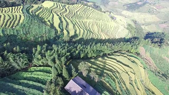 高空飞稻田，龙胜。桂林,中国视频素材