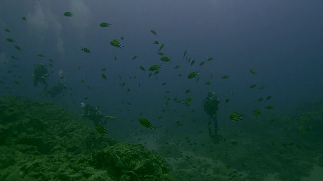 Scuba潜水者视频素材