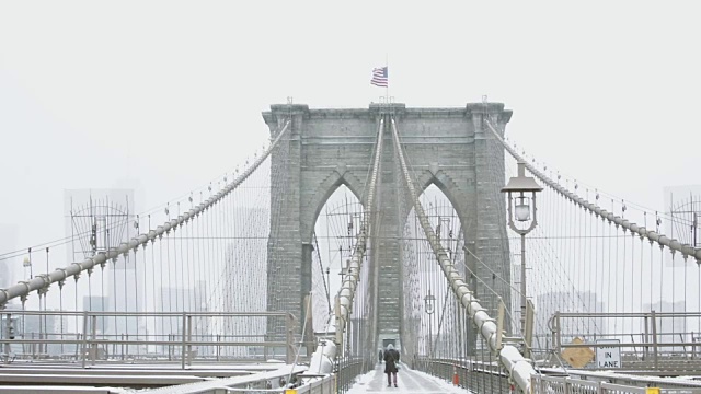 布鲁克林大桥上的潘在暴风雪中视频下载