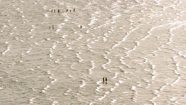 人们在海里行走视频下载