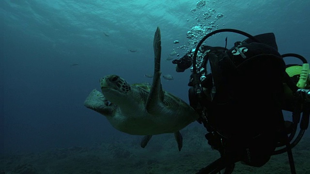 Scuba潜水者视频素材