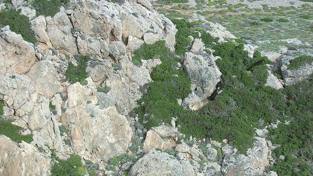 山羊在岩石景观上奔跑的WS AERIAL TS视图/ Karpathos, Dodecanese，希腊视频素材