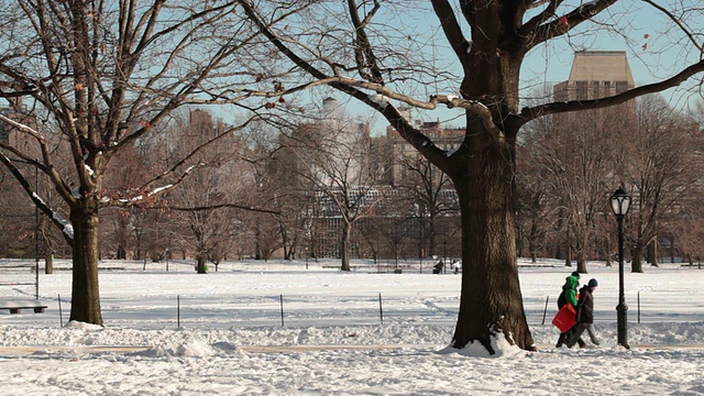 人们在覆盖着雪的中央公园/曼哈顿，纽约，美国，孩子们走在雪橇上视频素材