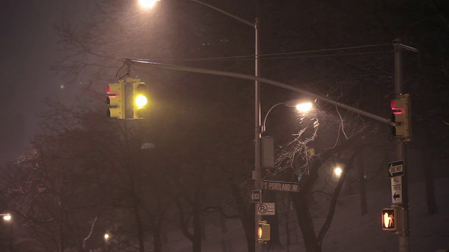 MS Shot of Snow falling, traffic light changing /纽约，美国视频素材