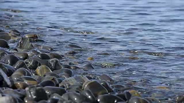 海滩上的鹅卵石视频素材