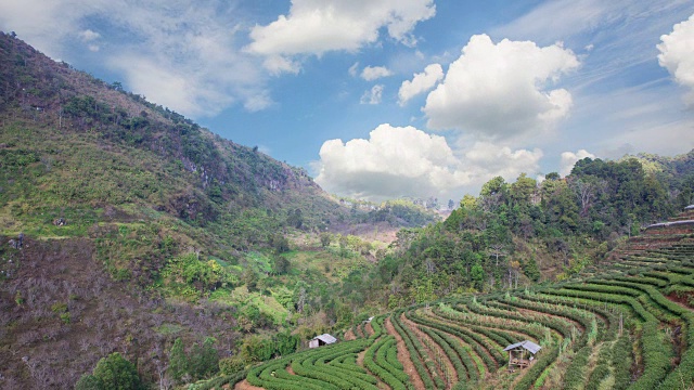 doi ang khang 自然景点。视频下载