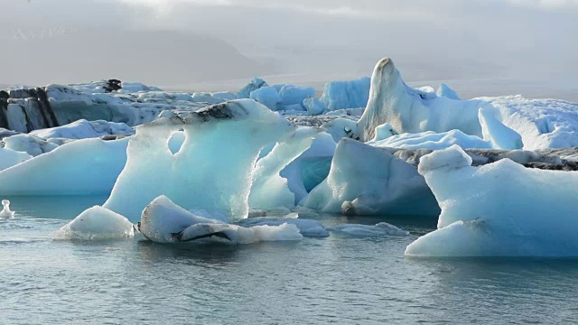 冰岛东南部Vatnajokull国家公园边缘的湖上的Jokulsarlon冰川和冰山视频素材