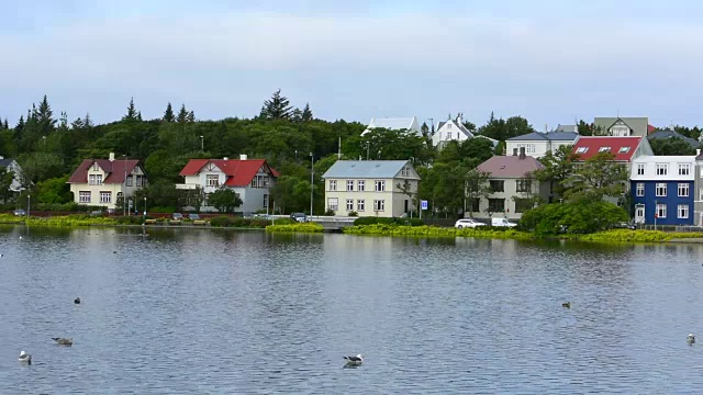 冰岛雷克雅未克北极市中心乔宁湖，湖上有鸭子和海鸥在水里休息视频素材