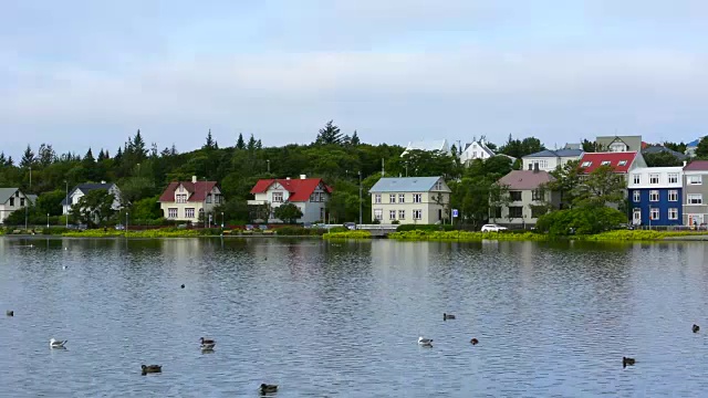 冰岛雷克雅未克北极市中心乔宁湖，湖上有鸭子和海鸥在水里休息视频素材