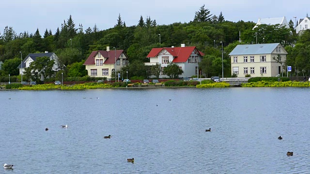 冰岛雷克雅未克北极市中心乔宁湖，湖上有鸭子和海鸥在水里休息视频素材