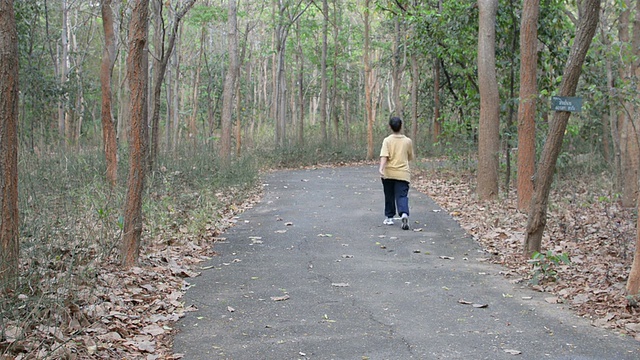 老年人在公园散步视频素材