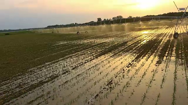 在日落时分，空中的农业洒水器在田地里洒水视频素材