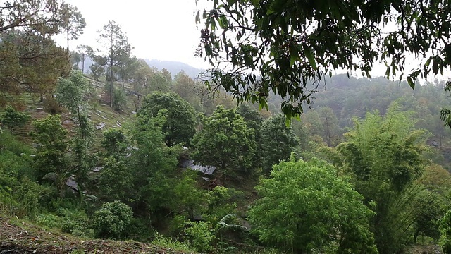 雨山视频素材